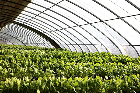 农业园区无线监控