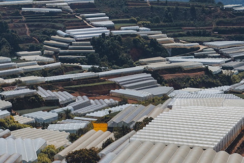 现代化温室农业监测系统