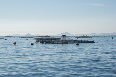 水产养殖无线监控系统